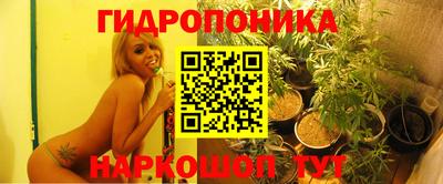 спиды Гатчина