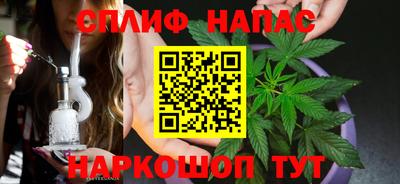 спиды Гатчина