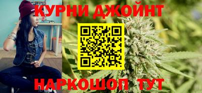 спиды Гатчина
