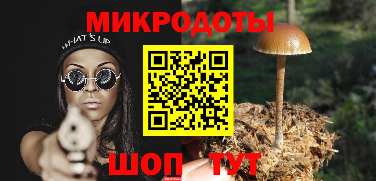 Псилоцибиновые грибы прущие грибы  Вход с VPN  Отрадное 