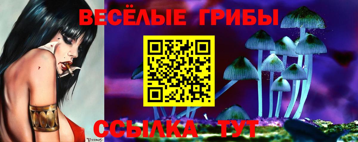 Галлюциногенные грибы мицелий Отрадное
